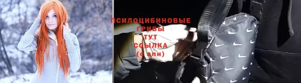 apvp Алзамай