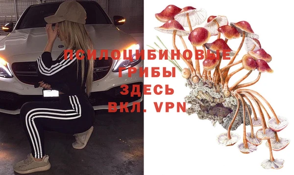 а пвп мука Алексин