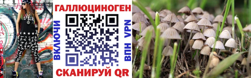 Галлюциногенные грибы Cubensis  дарк нет состав  Харовск 